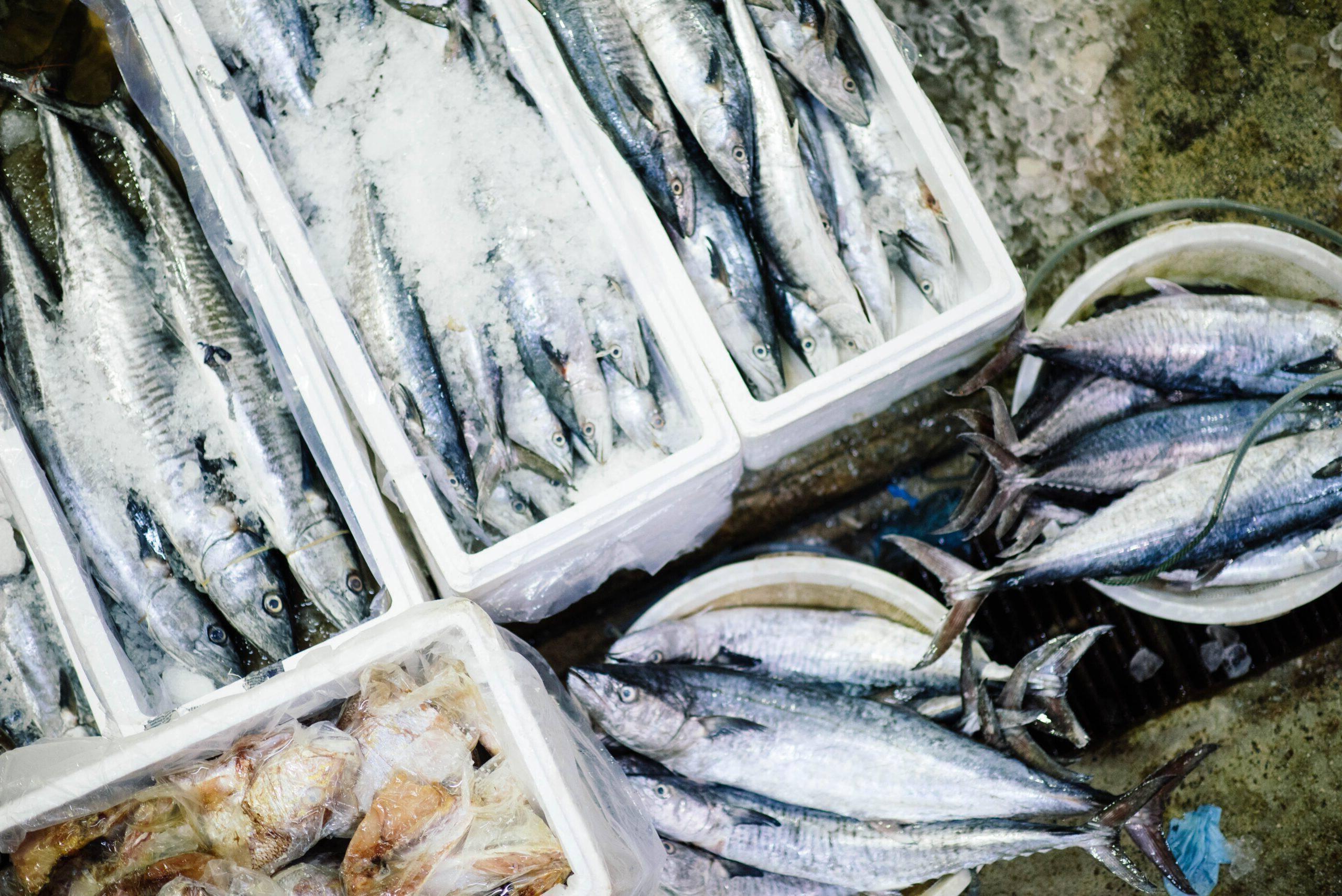 Dubai high-end Seafood Company uses Tradewind Finance’s Domestic Factoring Facility